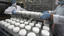 Производство творога выросло на 4,5%