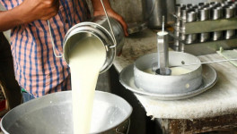 Производство товарного молока выросло на 3,4%