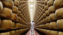 Запасы всех основных категорий молочной продукции, кроме сыров, снижаются