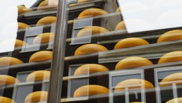 Потребление сырных продуктов упало на 17%, сыров – выросло на 7%