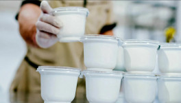 Производство йогурта снизилось на 12,7%