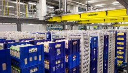 Импорт молочной продукции снизился на 5%