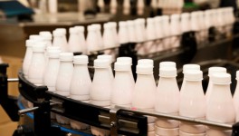 Производство сырого молока в РФ выросло на 1,6%