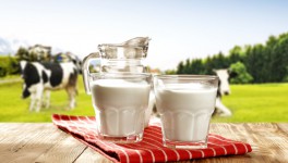 Цены на сырое молоко выросли на 3,6%