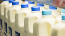 Цены на сырое молоко выросли на 5,6%