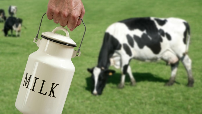 Импорт молочной продукции вырос на 15%