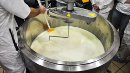 Производство молочной сыворотки выросло на 8,3%