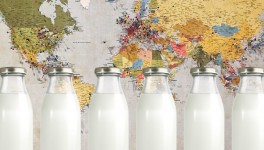Экспорт молочной продукции из РФ снизился на 1%