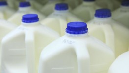 ТОП-20 крупнейших мировых переработчиков молока