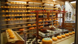 Рейтинг: ТОП-20 регионов по объемам производства сыров и сырных продуктов