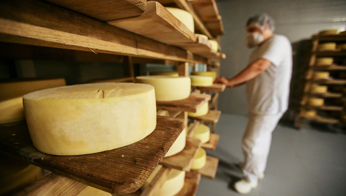 Рейтинг: ТОП-20 регионов по объемам производства сыров и сырных продуктов