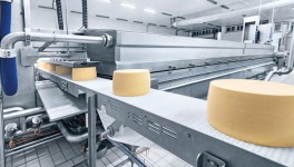 Рейтинг: ТОП-20 регионов по объемам производства сыров и сырных продуктов