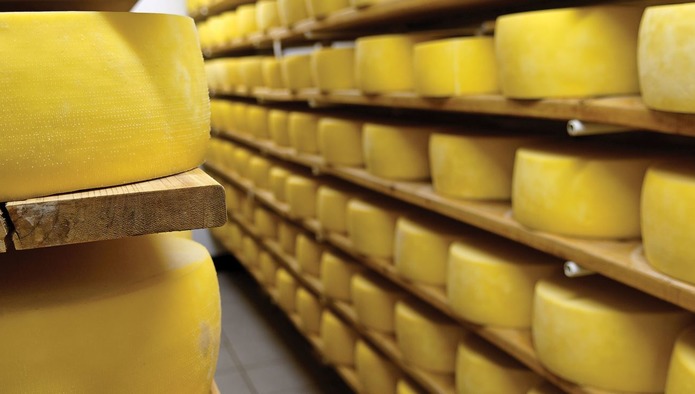 Рейтинг: ТОП-20 регионов по объемам производства сыров и сырных продуктов