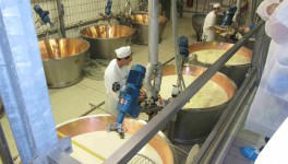 Рейтинг: ТОП-20 регионов по объемам производства сливочного масла