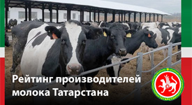 Опубликован первый рейтинг производителей молока Татарстана