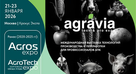 От AGROS и AGROTECH к AGRAVIA: Новый глобальный формат выставки «от поля и фермы до переработки»