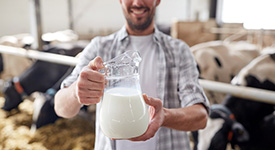 Как найти инвестора для молочного производства