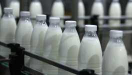 В Кировской области будет создан союз производителей молока