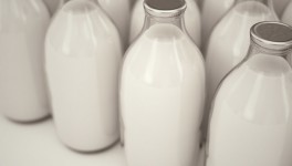Союзмолоко: введение обязательной маркировки молочной продукции до проведения оценки целесообразности недопустимо