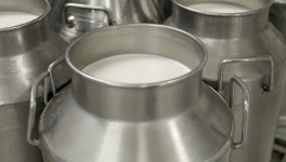 Господдержка поможет достигнуть самообеспеченности РФ по молоку к 2027 году - Союзмолоко