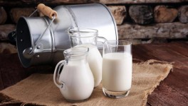 Союзмолоко: в России серьезно замедлился рост производства молока