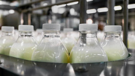 Россия ограничивает ввоз в РФ продукции двух азербайджанских молочных компаний