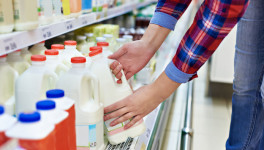 Rabobank сообщил о повсеместном сокращении спроса на молочную продукцию в мире