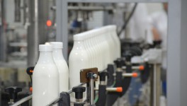 Forbes: маркировка молочной продукции отложена до мая