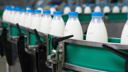 В эксперименте по маркировке молочной продукции участвуют 5,7 тыс. компаний - Минпромторг