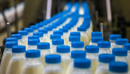 Производство молока в России в январе - октябре выросло на 3,1%
