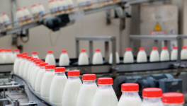 Узбекистан заинтересован в увеличении импорта российской молочной продукции