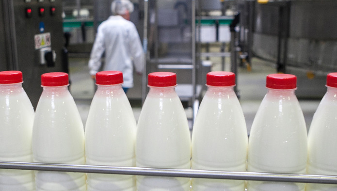 В России начался эксперимент по маркировке молочной продукции
