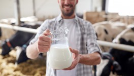 Американские молочные ассоциации хотят поделиться излишками продукции с нуждающимися странами