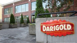 Darigold построит в США завод по производству молочного белка и масла за $500 млн