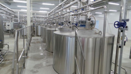 «Известия»: производители молочной продукции опасаются срыва поставок иностранной закваски