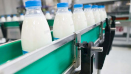 Россельхознадзор с 21 апреля остановит поставки молочной продукции из Киргизии