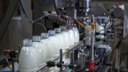 Производство молока в РФ в январе - августе выросло на 3,3%, до 3,8 млн тонн