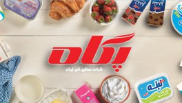 Иран просит разрешить ввоз молочной продукции в РФ - Россельхознадзор