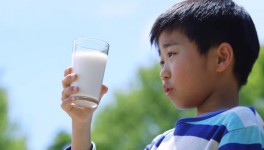 Девять российских компаний готовы поставлять молочную продукцию в Японию