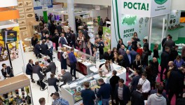 Россельхознадзор официально не уведомил о причине запрета молочной продукции на «Продэкспо» - Минск