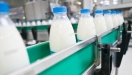 Минпромторг предлагает молочникам работать в двух системах прослеживаемости одновременно