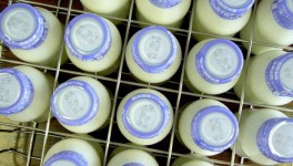 УФАС проверит башкирскую «Молочную кухню» на проведение дискриминационных тендеров
