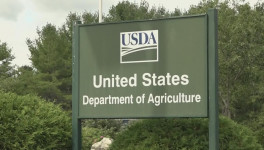 USDA возместит производителям органических молочных продуктов $104 млн