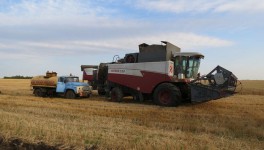 ТПП просит Минсельхоз РФ о субсидиях для аграриев из-за роста цен на дизельное топливо