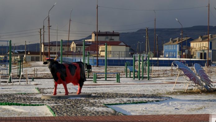 Веселая пятница: В Южно-Курильске исчезла пластиковая корова, которую полюбил бык