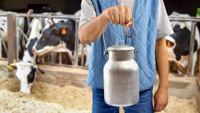 Британские фермеры призывают население не скупать молочные продукты