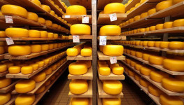 В I полугодии Россия увеличила экспорт сыров на 20%