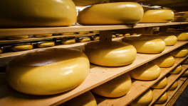 «Агроэкспорт»: потенциал экспорта сыра из РФ в Саудовскую Аравию составляет $5 млн в год
