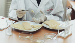 Роспотребнадзор приостановил действие деклараций соответствия производителей фальсифицированного сыра