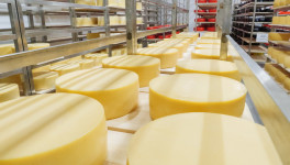 «Агросила» планирует к концу 2023 года выйти на полную загрузку линий по производству рассольных и полутвердых сыров